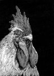  animal bacius beak bird chicken greyscale highres monochrome no_humans original rooster simple_background solo 