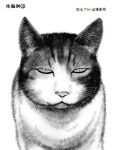  animal animal_ears cat_ears greyscale half-closed_eyes looking_at_viewer monochrome no_humans original portrait simple_background slit_pupils tescomaterial translation_request white_background 