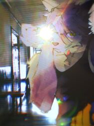  1boy black_tank_top english_commentary furry furry_male grey_fur grey_hair highres kouya_aotsuki looking_at_viewer male_focus morenatsu photo_background pov smile sun_glare tank_top wik4d 