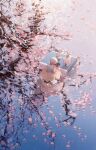  1girl absurdres cherry_blossoms commentary copyright_request day facing_away floating floating_object from_above highres japanese_clothes konya_karasu_kou outdoors petals reflection reflective_water scenery solo spring_(season) tagme tree vase water white_hair 
