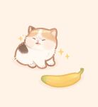  animal animal_focus artist_name banana calico cat closed_eyes commentary_request food fruit highres kapebeansies kitten lower_teeth meme no_humans open_mouth original photo-referenced shadow sharp_teeth simple_background solo sparkle teeth tongue 