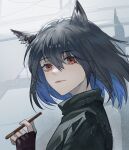  1girl animal_ear_fluff animal_ears arknights bangs black_gloves black_hair blue_hair closed_mouth colored_inner_hair day ear_piercing eyebrows_visible_through_hair fingerless_gloves food fox_ears from_side gloves hair_between_eyes highres holding holding_food lips looking_at_viewer looking_to_the_side multicolored_hair outdoors piercing pocky portrait red_eyes shisangeashi short_hair smile solo texas_(arknights) two-tone_hair 