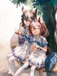  2girls animal_ears bag bench brown_hair cup disposable_cup drinking facing_viewer highres holding holding_cup holding_hands horse_ears horse_girl horse_tail k11iii long_hair looking_at_viewer multicolored_hair multiple_girls outdoors ponytail puffy_short_sleeves puffy_sleeves sailor_collar school_bag school_uniform shoes short_sleeves sitting skirt smile streaked_hair symboli_rudolf_(umamusume) tail thigh-highs tokai_teio_(umamusume) tracen_school_uniform tree umamusume white_legwear white_skirt 