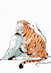  1boy 308albi animal_hug animalization blue_eyes broken broken_chain chain full_body highres jujutsu_kaisen lock padlock robe ryoumen_sukuna_(jujutsu_kaisen) ryoumen_sukuna_(true_form)_(jujutsu_kaisen) short_hair simple_background tiger whiskers white_background white_hair white_robe 
