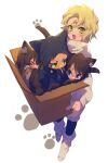 2boys 2girls :3 akai_shuuichi animal_ear_fluff animal_ears animal_feet animal_hands black_headwear blonde_hair blue_eyes boots bottomless box brother_and_sister brothers cardboard_box cat_boy cat_ears cat_girl cat_tail child cigarette closed_eyes curly_hair echo_(circa) female_child from_above full_body fur_trim furry furry_male glasses green_eyes haneda_shuukichi hat hat_with_ears in_box in_container jacket long_sleeves looking_at_another looking_at_viewer male_child mary_sera meitantei_conan mother_and_daughter mother_and_son mouth_hold multiple_boys multiple_girls no_shoes open_mouth pantyhose paw_print sera_masumi siblings sleeping socks socks_over_pantyhose sweater tail turtleneck turtleneck_sweater white_background 