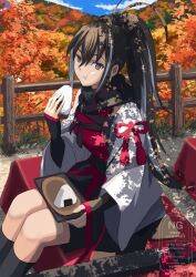  black_eyes black_hair black_scarf eating fate/grand_order fate_(series) fence food forest highres japanese_clothes kawakami_gensai_(fate) kawakami_gensai_(first_ascension)_(fate) ksfactory long_hair long_sleeves looking_at_viewer nature onigiri ponytail scarf shirt sitting watermark white_shirt wooden_fence 