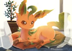  absurdres animal_focus blush brown_eyes brown_fur brown_sclera colored_sclera curtains green_fur highres indoors leaf leafeon looking_at_viewer no_humans noahzark1212 pillow pokemon pokemon_(creature) pokemon_focus solo sunlight tail yellow_fur 