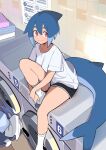  1girl absurdres azuumori bangs black_shorts blue_hair bob_cut breasts closed_mouth clothes collarbone commentary english_commentary flip-flops foot_out_of_frame gym_shorts hair_between_eyes highres indoors laundromat laundry_basket looking_at_viewer medium_breasts medium_hair multicolored_hair original oversized_clothes oversized_shirt own_hands_together red_eyes sandals shark_girl_(azuumori) shark_tail shirt short_sleeves shorts sign sitting sitting_on_object smile socks solo tail thick_eyebrows tile_wall tiles towel two-tone_hair washing_machine white_legwear white_shirt white_trim 