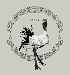  animal bird commentary_request crane_(animal) english_text full_body green_background nagabe no_humans original standing 