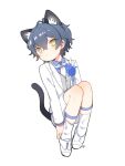  1boy animal_ears blue_hair cat_boy cat_ears cat_tail choco_(moyasi) facing_viewer heart heart-shaped_pupils highres long_sleeves looking_at_viewer male_focus original short_hair shorts solo symbol-shaped_pupils tail white_background yellow_eyes 