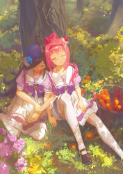  2girls against_tree ak8531848 animal_ears basket black_shoes blue_flower blush brown_hair carrot closed_eyes closed_mouth commentary ear_covers english_commentary flower haru_urara_(umamusume) hat hat_flower highres horse_ears horse_girl horse_tail multiple_girls open_mouth outdoors pink_hair pleated_skirt purple_hat purple_shirt revision rice_shower_(umamusume) sailor_collar school_uniform shirt shoes short_sleeves sitting skirt sleeping tail thigh-highs tracen_school_uniform tree umamusume white_sailor_collar white_skirt white_thighhighs zettai_ryouiki 