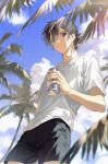  1boy ajiro_shinpei black_hair black_shorts blue_eyes brown_eyes can clouds cloudy_sky day heterochromia highres holding holding_can long_hair looking_at_viewer low_ponytail male_focus outdoors palm_tree shirt short_hair shorts sky soda_bottle soda_can summertime_render tree white_shirt xiaojiaju 