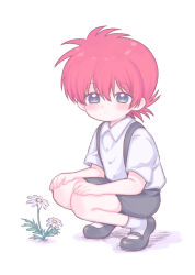  1boy aged_down alternate_costume black_shoes black_shorts blue_eyes child collared_shirt commentary_request daisy_(flower) expressionless flower full_body kneeling kurama_(yu_yu_hakusho) looking_at_viewer male_focus morishi_(bearxforest) red_hair shirt shoes short_hair short_sleeves shorts socks solo suspender_shorts suspenders white_background white_flower white_shirt white_socks wing_collar yu_yu_hakusho 