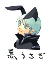 1boy alternate_color animal_ears black_coat blue_eyes blue_hair closed_mouth coat commentary_request fake_animal_ears lowres male_focus oomojiya portrait priest_(ragnarok_online) rabbit_ears ragnarok_online short_hair simple_background smile solo translation_request white_background 