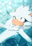  1boy afloat animal_nose closed_mouth furry furry_male iiimirai light_smile male_focus silver_the_hedgehog solo sonic_(series) twitter_username water 