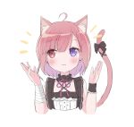  :3 ahoge animal_ears bandages bangs baumkuchen_umai black_bow bob_cut bow cat_ears cat_tail collarbone earrings frilled_cuffs frilled_shirt_collar frills gradient_hair hands_up heterochromia indie_virtual_youtuber jewelry mikeneko_(utaite) multicolored_hair pink_hair purple_ribbon red_eyes ribbon sidelocks simple_background tail upper_body violet_eyes 