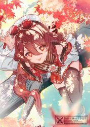  1girl autumn_leaves bare_shoulders beret brown_thighhighs closed_mouth dappled_sunlight day dress eyewear_on_head flower from_above genshin_impact glasses hair_between_eyes hand_on_headwear hat highres hu_tao_(cherries_snow-laden)_(genshin_impact) hu_tao_(genshin_impact) in_tree leaf long_hair long_sleeves looking_at_viewer looking_up maple_leaf nail_polish nakaba_(mode) official_alternate_hairstyle outdoors pink_flower pleated_dress red_dress red_eyes red_hair red_nails round_eyewear sitting sitting_in_tree sitting_on_branch solo sunglasses sunlight thigh-highs tongue tongue_out tree v-shaped_eyebrows very_long_hair white_hat 