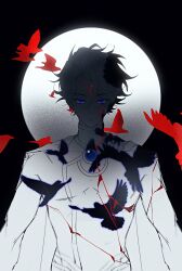  1boy absurdres bird bleeding blood blue_eyes brooch cape capelet commentary_request cracked_skin curtained_hair expressionless feizhe555546 grey_hair highres jewelry limited_palette looking_at_viewer male_focus moon_behind_head nice_(to_be_hero_x) pigeon red_pupils short_hair solo to_be_hero_x upper_body 