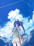  1girl ahoge animal_ears arm_at_side bangs bird blue_eyes blue_hair closed_mouth clouds contrail fang food hat heterochromia highres holding holding_clothes holding_hat hood hooded_jacket horse_ears horse_girl horse_tail jacket kiromo long_hair outdoors popsicle shorts skin_fang sleeveless sleeveless_jacket solo standing straw_hat tail twin_turbo_(umamusume) twintails twitter_username umamusume violet_eyes white_shorts 