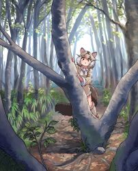  1girl animal_ears bow bowtie brown_dress brown_eyes brown_fur brown_hair brown_socks dormouse_(kemono_friends) dress forest frilled_dress frills fur_trim grey_hair hair_between_eyes highres kemono_friends long_sleeves looking_at_viewer mcgunngu mouse_ears mouse_girl mouse_tail multicolored_hair nature short_hair sidelocks socks solo tail tree white_bow white_bowtie white_hair 