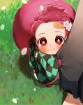  1boy :3 animal_ears animal_feet animal_hands bangs blush checkered_clothes chibi closed_mouth clothes_grab earrings flower grass hair_flower hair_ornament haori japanese_clothes jewelry kamado_tanjirou kemonomimi_mode kimetsu_no_yaiba long_sleeves looking_at_viewer looking_up maga_(chun) male_focus out_of_frame petals pink_hair ponytail raccoon_boy raccoon_ears raccoon_tail red_eyes scar scar_on_face scar_on_forehead short_hair smile solo_focus standing tail white_footwear wide_sleeves 