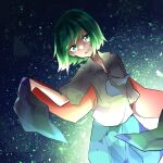  1girl androgynous antennae bangs black_cape blue_shorts cape collared_shirt commentary_request cowboy_shot flat_chest green_eyes green_hair highres looking_at_viewer open_mouth red_cape shirt short_hair short_sleeves shorts smile solo toi_(user_nzkf4253) touhou two-sided_cape two-sided_fabric white_shirt wriggle_nightbug 