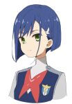  1girl bangs blue_hair closed_mouth cropped_torso darling_in_the_franxx green_eyes grey_jacket hair_ornament hairclip ichigo_(darling_in_the_franxx) jacket looking_at_viewer meito_(maze) short_hair simple_background solo upper_body white_background 