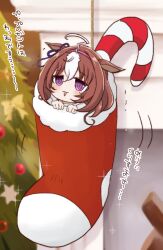  1girl @_@ ahoge blurry blurry_background blush brown_hair candy candy_cane chibi christmas christmas_stocking christmas_tree commentary_request depth_of_field fireplace food hair_between_eyes hairband hands_up highres meisho_doto_(umamusume) mini_person minigirl multicolored_hair pink_hairband solo star_(symbol) tears translation_request trembling two-tone_hair umamusume usako_(umauma0602) violet_eyes white_hair 