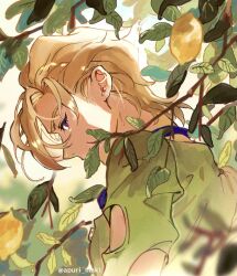  1boy apuri_maki blonde_hair blurry blurry_background blurry_foreground clothing_cutout commentary food from_behind fruit jojo_no_kimyou_na_bouken lemon looking_back male_focus pannacotta_fugo plant profile short_hair solo symbol-only_commentary vento_aureo violet_eyes 