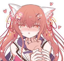  1boy 1girl animal_ear_fluff animal_ears bare_shoulders blush cat_ears cat_girl commentary_request flower furrowed_brow fuuma_yura hair_between_eyes hair_flower hair_ornament hair_ribbon hand_on_another's_chin heart heart-shaped_pupils highres holding_another's_wrist long_hair looking_at_viewer lovestruck neko-nin_exheart ninja nose_blush open_mouth orange_eyes orange_hair petting pink_flower pov pov_hands purple_scarf red_ribbon rialickpero ribbon scarf sidelocks simple_background solo_focus symbol-shaped_pupils twintails upper_body white_background x_hair_ornament 