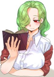  1girl adapted_costume akachan0219 arm_under_breasts blush book breasts closed_mouth collared_shirt commentary expressionless green_hair highres holding holding_book jacket kazami_yuuka large_breasts long_hair one_eye_covered open_clothes open_jacket reading red_eyes red_jacket shirt solo touhou upper_body white_background white_shirt 