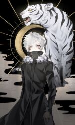  1boy black_coat black_gloves bungou_stray_dogs clouds coat commentary covered_mouth crescent_moon english_commentary fur-trimmed_coat fur_trim gloves grey_eyes highres looking_at_viewer male_focus moon nakajima_atsushi_(bungou_stray_dogs) nyxespa sharp_teeth short_hair solo_focus teeth tiger white_hair white_tiger 