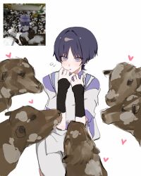  1boy armor black_hair blunt_ends bright_pupils clothing_cutout cow eyeliner flying_sweatdrops game_screenshot_inset genshin_impact grey_eyes hair_intakes hands_up heart highres japanese_armor japanese_clothes kariginu kote kurokote layered_sleeves light_blush looking_at_animal makeup male_focus open_mouth pants parted_bangs pelvic_curtain purple_sleeves red_eyeliner reference_inset scaramouche_(genshin_impact) scaramouche_(kabukimono)_(genshin_impact) screenshot_inset short_sleeves shoulder_cutout solo white_background white_pants white_pupils white_sleeves x_makila 