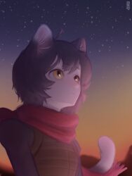  1girl ahoge animal_ear_fluff animal_ears artist_name black_hair cat_ears cat_girl cat_tail dungeon_meshi highres izutsumi kimchunsik red_scarf scarf short_hair simple_background sky slit_pupils solo star_(sky) starry_sky tail upper_body white_background yellow_eyes 