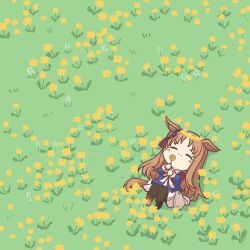  1girl absurdres animal_ears armband asymmetrical_footwear blue_jacket blush bow brown_hair closed_eyes closed_mouth commentary_request dandelion dress ear_bow ear_ribbon flower grass_wonder_(stone-piercing_blue)_(umamusume) grass_wonder_(umamusume) head_wreath highres horse_ears horse_girl horse_tail jacket long_hair long_sleeves lying mismatched_footwear multicolored_hair on_back pantyhose red_armband sailor_collar smile solo soramuko tail umamusume white_bow white_dress white_hair white_sailor_collar 