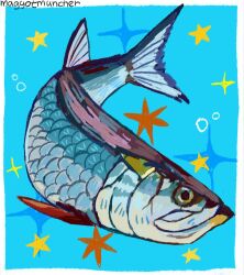  air_bubble animal_focus bass_(fish) blue_background border bubble commentary fish from_side full_body highres maggotmuncher0 no_humans original painterly simple_background sparkle untranslatable_commentary white_border 