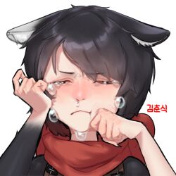  1girl animal_ear_fluff animal_ears artist_name black_hair blush cat_ears cat_girl closed_eyes commentary crying dungeon_meshi english_commentary highres izutsumi kimchunsik red_scarf sad scarf short_hair simple_background solo teardrop white_background 