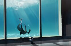  2others black_skin colored_skin cracked_mask from_behind full_body ghost_tail glass grey_cloak highres hollow_knight hollow_knight_(character) horned_mask horns indoors knight_(hollow_knight) looking_at_another mask milktea25424633 multiple_others shadow underwater white_eyes white_mask 