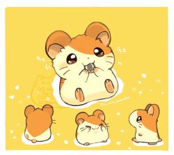  animal animal_focus artist_name blush border commentary_request eating hamster hamtaro hamtaro_(series) highres holding konanbo multiple_views no_humans seed smile sunflower_seed walking whiskers white_border 