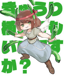  1girl brown_hair commentary_request cucumber green_eyes grin headband highres kyuri_(trickcal) long_skirt medium_hair skirt smile smirk solo soosaresu translation_request trickcal white_background wings 