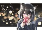  1girl animal_ears beret black_hair black_jacket blurry blush bokeh box braid cat_ears cat_girl cat_tail commentary confession covering_mouth depth_of_field facing_viewer flower gift gift_box hair_flower hair_ornament hairpin hat hatsuran highres holding holding_gift hoshina_suzu jacket letterboxed medium_hair multicolored_eyes outside_border pink_eyes scarf shy side_braid sideways_glance solo star_(symbol) star_hair_ornament sweater tail valentine violet_eyes wactor_production white_flower white_sweater 