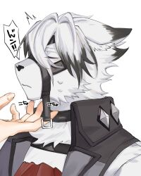  1boy 1other animal_ear_fluff animal_ears blush body_fur closed_eyes closed_mouth colored_tips furry furry_male gachimuchi_daisukikko hand_on_another's_chin highres male_focus multicolored_hair muzzle_(mask) portrait sweat tickling von_lycaon white_fur wolf_boy wolf_ears zenless_zone_zero 