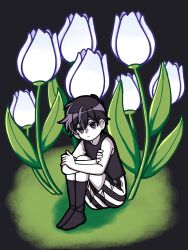  1boy antenna_hair black_background black_eyes black_hair black_shorts black_socks black_tank_top closed_mouth commentary crossed_arms double-parted_bangs english_commentary expressionless flower hair_between_eyes highres knees_up looking_at_viewer male_focus omori omori_(omori) oversized_flower reii163 short_hair shorts simple_background sitting socks solo striped_clothes striped_shorts tank_top tulip two-tone_shorts vertical-striped_clothes vertical-striped_shorts white_flower white_shorts white_tulip 