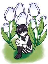  1boy antenna_hair black_eyes black_hair black_shorts black_socks black_tank_top closed_mouth commentary crossed_arms double-parted_bangs english_commentary expressionless flower hair_between_eyes highres knees_up looking_at_viewer male_focus omori omori_(omori) oversized_flower reii163 short_hair shorts simple_background sitting socks solo striped_clothes striped_shorts tank_top tulip two-tone_shorts vertical-striped_clothes vertical-striped_shorts white_background white_flower white_shorts white_tulip 