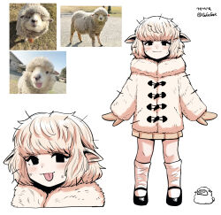  1girl :3 :p a-pose animal_ears artist_name artist_self-insert black_eyes black_shoes blunt_bangs blush bob_cut brown_mittens brown_skirt close-up closed_mouth coat creature_and_personification dirty dirty_face duffel_coat empty_eyes full_body fur_coat gegegekman highres kneehighs korean_text light_smile looking_at_viewer loose_hair_strand mary_janes messy_hair mittens multiple_views narrowed_eyes original pale_skin personification photo-referenced pleated_skirt portrait reference_inset sheep sheep_ears sheep_girl shoes short_hair simple_background skirt smile socks solo standing toggles tongue tongue_out twitter_username wavy_hair white_background white_coat white_fur white_hair white_socks wool 