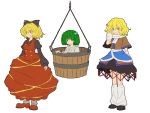  blonde_hair bow bucket girl_in_bucket green_eyes green_hair hair_bobbles hair_bow hair_ornament in_bucket in_container kisume kurodani_yamame loose_socks matsutani messy_hair mizuhashi_parsee pointy_ears rope scarf skirt socks touhou yellow_eyes 