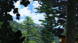  1girl bird_tail bird_wings blonde_hair boots brown_footwear capelet clouds cloudy_sky commentary day feathered_wings flying forest highres kajatony multicolored_hair nature niwatari_kutaka orange_skirt outdoors redhead scenery short_hair skirt sky solo tail torii touhou tree two-tone_hair very_long_tail white_capelet wide_shot wings yellow_wings 