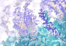  absurdres blurry blurry_background chinese_commentary commentary_request flower flower_request highres leaf no_humans original plant plant_focus purple_flower scenery ziyao 