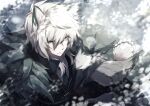  1boy absurdres animal_ear_fluff animal_ears arknights bird black_gloves black_jacket fur_trim gloves grey_eyes hair_between_eyes highres izuse_reki jacket leopard_ears long_sleeves male_focus outdoors silverash_(arknights) snow upper_body white_hair 