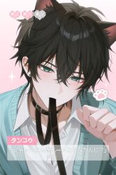  1boy absurdres animal_ears aqua_cardigan aqua_eyes aqua_jacket black_collar black_hair cardigan cat_boy cat_ears collar dan_heng_(honkai:_star_rail) hair_between_eyes heart highres honkai:_star_rail honkai_(series) jacket male_focus mouth_hold nyamnyam_(ny_am_030) open_clothes open_jacket pixel_heart shirt short_hair solo white_shirt 